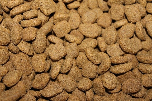 BEFORE YOU BUY THE NEXT BAG OF DOG FOOD