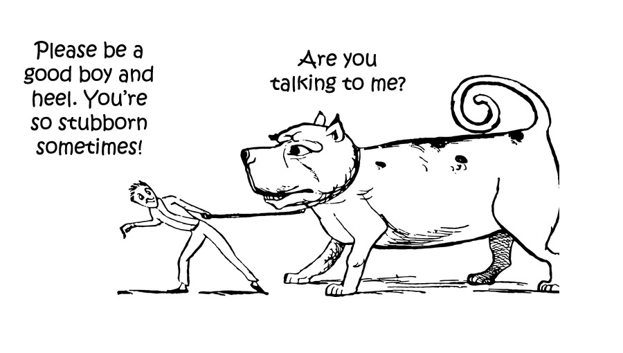 CONVERSATIONAL DOG TRAINING 101 - WHO ARE YOU TALKING TO?