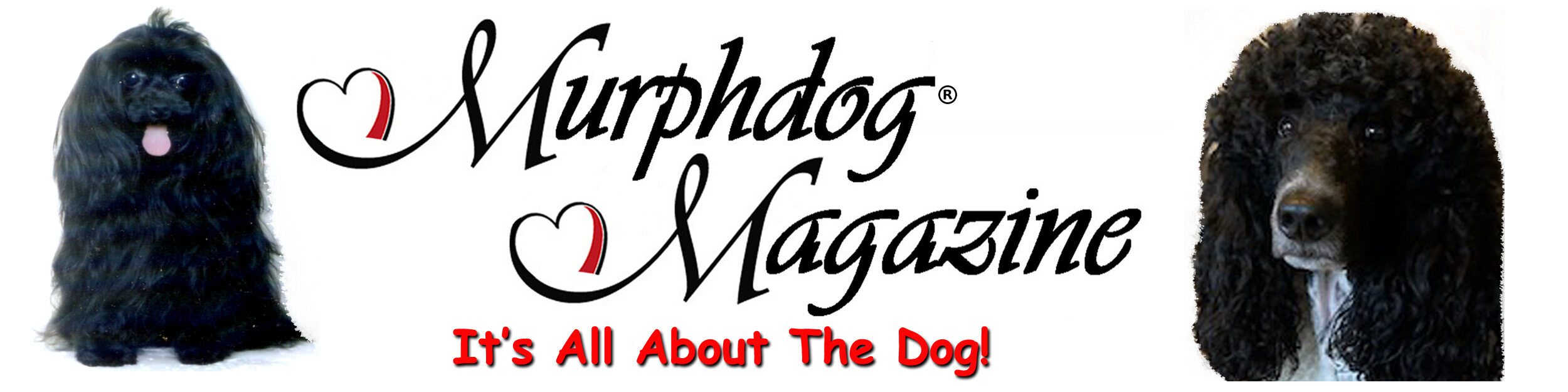 Murphdog Magazine